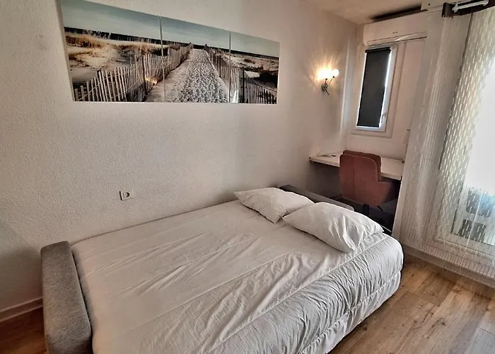 Superbe Climatise, Avec Piscine, Proche Des Commerces Et Du Port * 阿格德