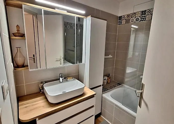 Superbe Climatise, Avec Piscine, Proche Des Commerces Et Du Port 公寓 阿格德